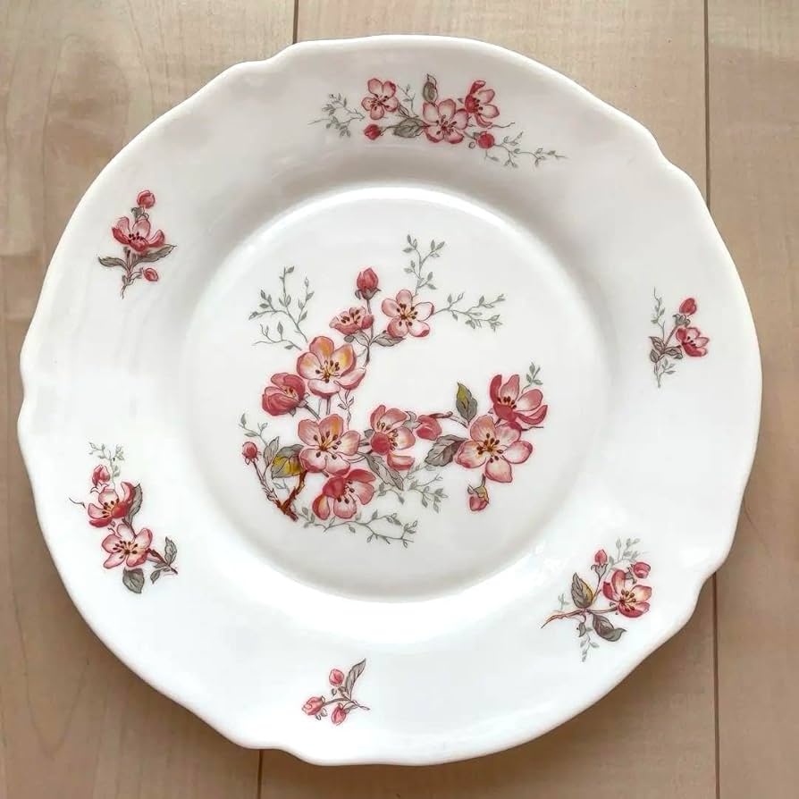 アルコパル　皿　大小セット　フランス製 Amazon.co.jp: アルコパル 皿 大小セット フランス製 : ホーム